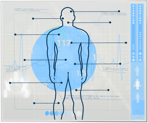 transparent digital human body interface analysis design - Download Free Stock Videos Pikwizard.com