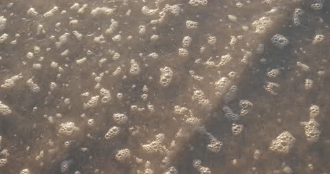 Close-Up of Bubbly Ocean Waves at Shoreline