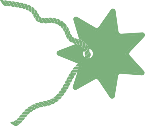 Green Star-Shaped Label with Twine on Transparent Background - Download Free Stock Videos Pikwizard.com