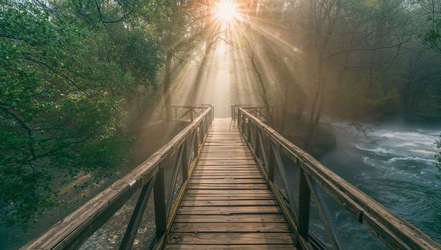 Sunlit Footbridge Over Forest Stream with Morning Mist
