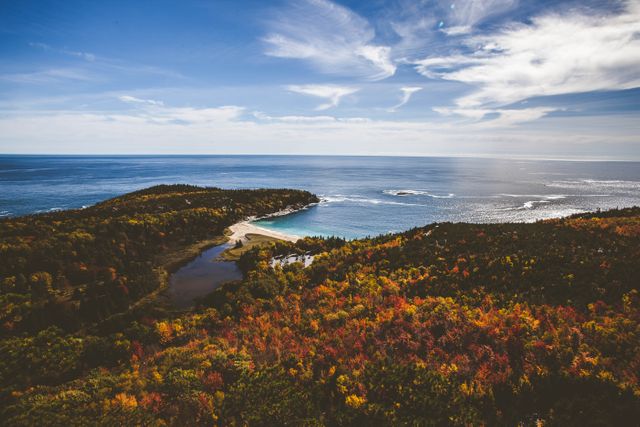 Stunning aerial perspective of autumn foliage blending with a scenic coastal beach and blue ocean. Ideal for travel brochures, nature documentaries, backgrounds for presentations, or promoting outdoor activities. Perfect for showcasing the beauty of natural landscapes during the fall season.