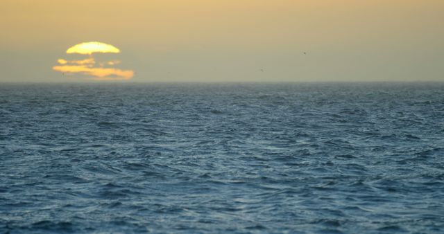 Serene Sunset over Calm Ocean Waves under Clear Sky - Download Free Stock Images Pikwizard.com