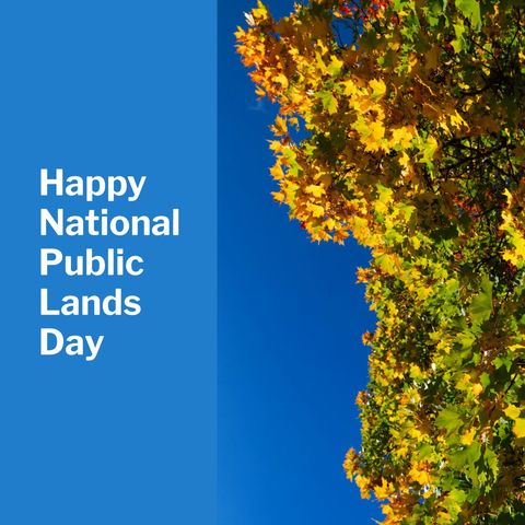 Celebrating National Public Lands Day with Vibrant Autumn Foliage - Download Free Stock Templates Pikwizard.com