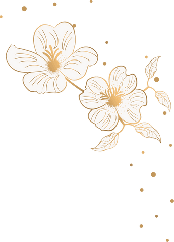 Elegant white and gold flowers blooming on transparent background