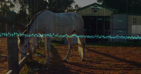 White horse grazing with digital data overlay in rural setting