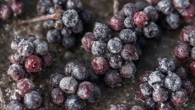 Frosted red and purple grape clusters with water droplets macro texture