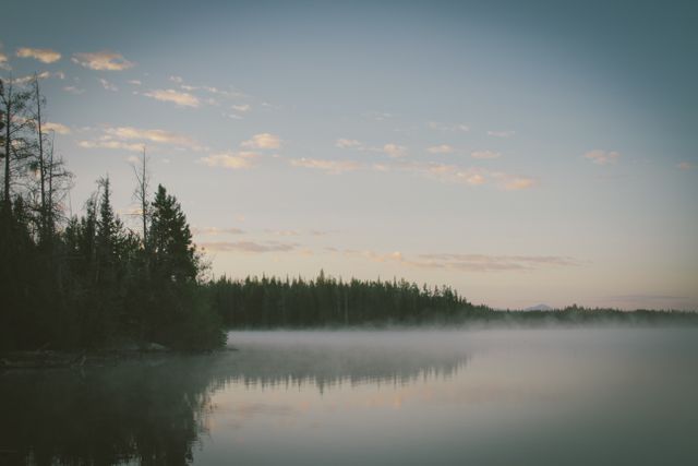 Misty Morning at Calm Forest Lake with Early Sunrise - Download Free Stock Images Pikwizard.com