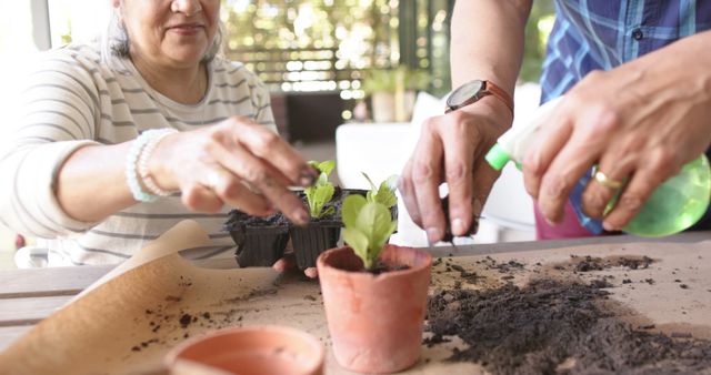 Happy diverse senior couple sitting at table and planting plants to pots on porch - Download Free Stock Photos Pikwizard.com