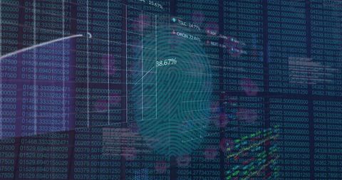Biometric Fingerprint with Financial Data Overlay - Download Free Stock Images Pikwizard.com