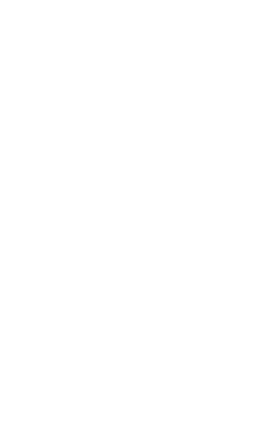 Silhouette of Sportswoman Holding Water Bottle on Transparent Background - Download Free Stock Videos Pikwizard.com