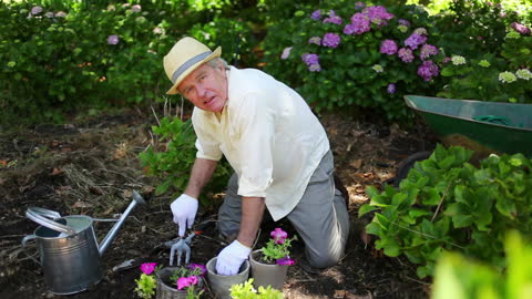Retired Senior Gentleman Gardening in Vibrant Backyard