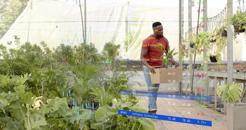 Horticulturist analyzing plant growth with technology in greenhouse environment