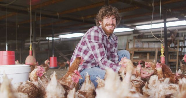 Bearded man wearing plaid shirt feeding chickens indoors in poultry barn. Ideal for use in agricultural blogs, farming articles, rural lifestyle promotions, organic and free-range farming advertisements.