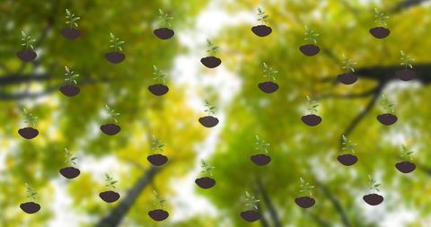 Stay Natural Message with Digital Seedling Icons