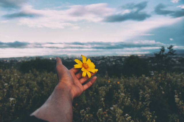 Hand holding a wild daisy with a scenic horizon visible in the background. Good for concepts of nature appreciation, tranquility, and environmental consciousness. Perfect for use in eco-friendly campaigns, wellness content, or images depicting calmness.