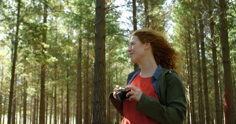 Red-haired woman holding slr camera in sunlit pine forest, exploring nature photography