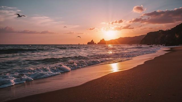Stunning Ocean Sunset with Seagulls at Peaceful Beach