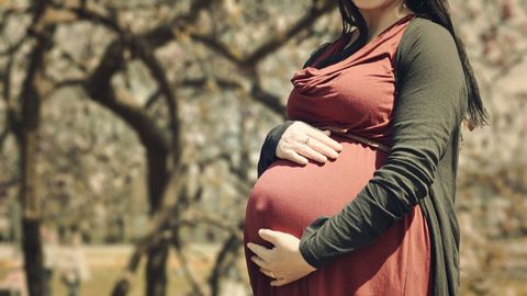 Pregnant Woman in Nature Wearing Burgundy Dress