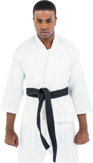 Transparent Karate Fighter Standing With Serene Determined Gaze - Download Free Stock Videos Pikwizard.com