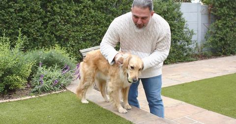 Senior man petting golden retriever holding tennis ball on stone ledge in green backyard