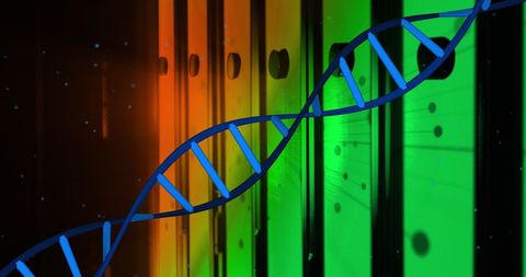 dna strand overlay on data servers for biotechnology concept - Download Free Stock Images Pikwizard.com