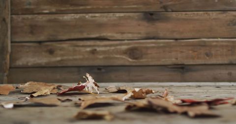 Autumn Leaves on Rustic Wooden Background - Download Free Stock Images Pikwizard.com