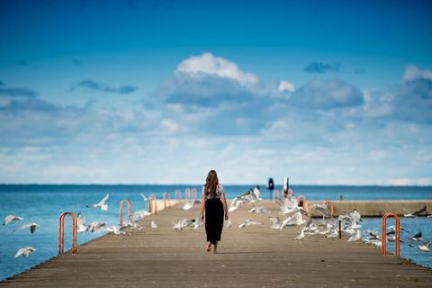 Woman strolling pier surrounded by sea gulls in serene coastal scene