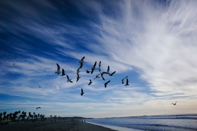 Flock of birds soaring over a serene beach under a dramatically cloudy sky. Ideal for nature and coastal themes. Can be used to promote travel destinations, outdoor activities, and conservation efforts.