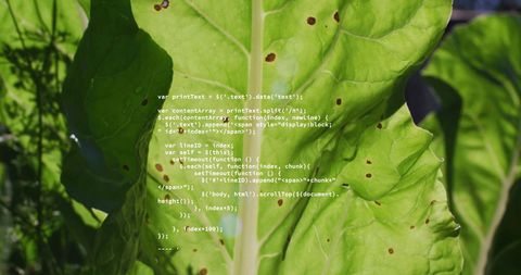 Integration of Technology and Nature with Data Code Over Leaves - Download Free Stock Images Pikwizard.com