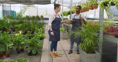 Diverse coworkers coordinating greenhouse plant management