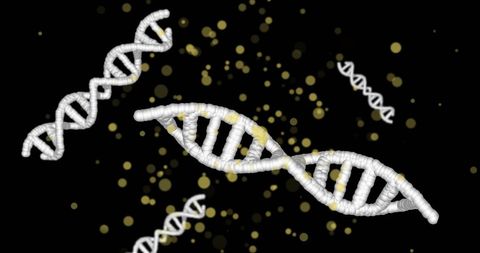 abstract digital representation of dna strands on black background - Download Free Stock Images Pikwizard.com