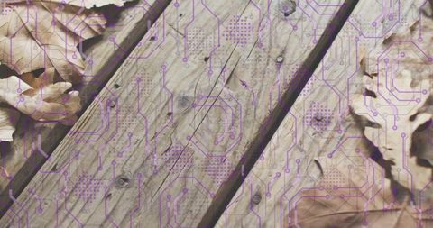 Weathered wood deck featuring purple circuit overlay and dried oak leaves