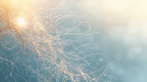 Luminous Orbs Hovering Amid Golden Threads in Cosmic Glow