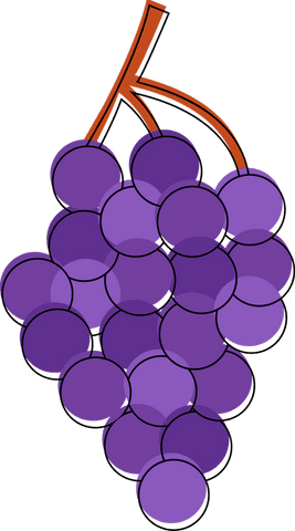 transparent purple grape cluster illustration with brown stem - Download Free Stock Videos Pikwizard.com