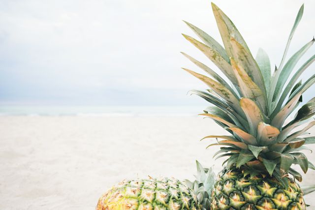 Two large pineapples are sitting on the sand with a calm ocean in the background. Use this to convey themes of tropical vacations, summer relaxation, exotic locations, and tropical fruits.