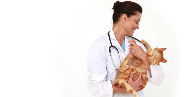 Smiling veterinarian holding orange tabby cat - Download Free Stock Images Pikwizard.com