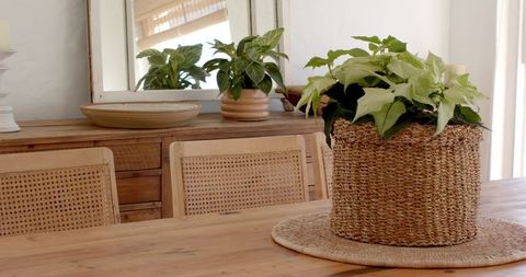 Rustic Dining Table Setting with Wicker Planter and Green Foliage
