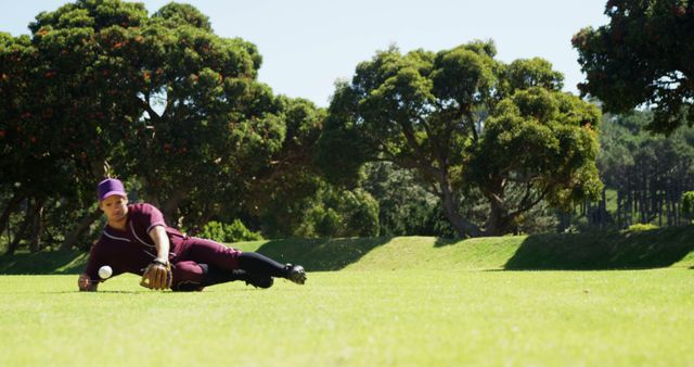 Baseball Player Making a Diving Catch in Field - Download Free Stock Images Pikwizard.com