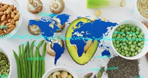 Global plant-based nutrition concept with avocado, nuts, seeds and data overlay