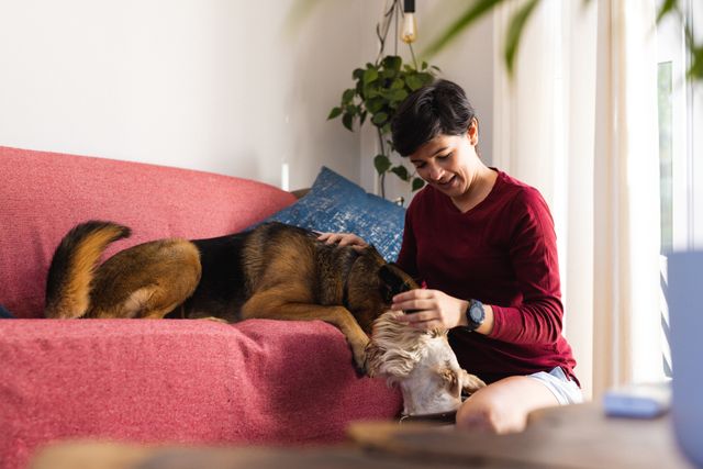 Caucasian happy mid adult lesbian woman stroking german shepherd and scottish terrier in living room. Unaltered, dog, pet, care, love, togetherness, friendship, lifestyle and home concept.