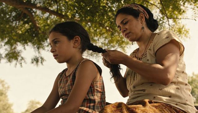 Mother braiding daughter's long dark hair under leafy tree during warm golden sunlight