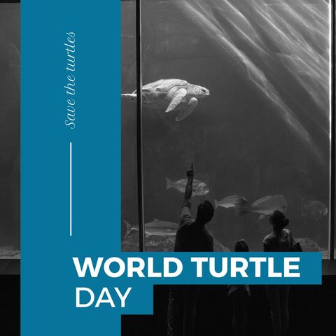 world turtle day aquarium encounter exterior view - Download Free Stock Templates Pikwizard.com