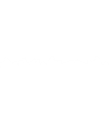 minimalist white plants with copy space on transparent background - Download Free Stock Videos Pikwizard.com
