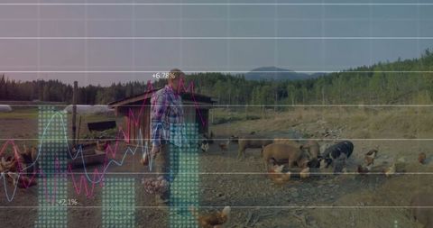 Farmer collecting eggs against growing financial graphs and rural farmyard