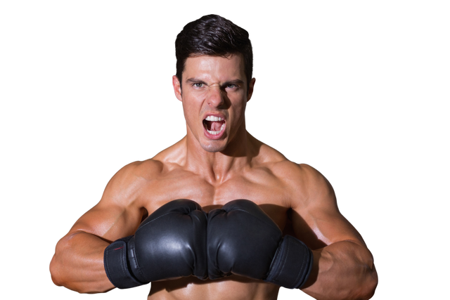 Caucasian Male Boxer Wearing Gloves on Transparent Background - Download Free Stock Videos Pikwizard.com