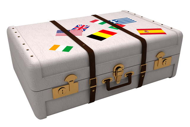 Vintage Travel Suitcase with National Flags Transparent PNG - Download Free Stock Videos Pikwizard.com