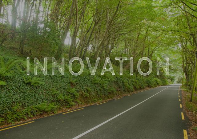This visual features an empty country road surrounded by lush, green forest with the word 'INNOVATION' superimposed. Ideal for themes related to travel, fresh starts, new ideas, and inspirational journeys. Useful for advertising campaigns, motivational posters, or eco-friendly marketing materials.