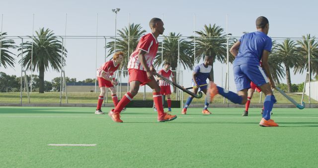 This image shows a group of youth players actively engaged in a field hockey match on an outdoor synthetic field. They are dressed in team uniforms, with some wearing red and others in blue. Palm trees in the background indicate the match is taking place in a sunny, possibly warm location. This image can be used in sports promotion materials, youth activity advertisements, articles about field hockey, and educational brochures on teamwork and physical education.