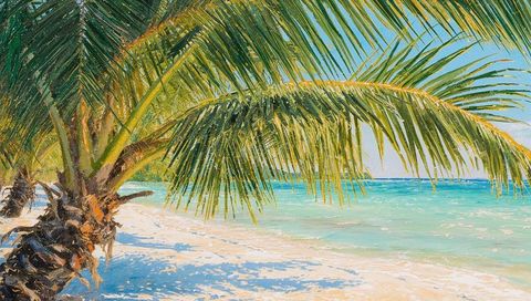 Tropical Beach with Palm Trees and Turquoise Waters