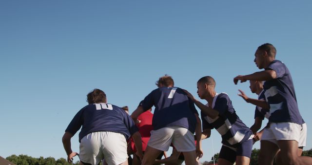 Rugby players seen from behind engage in a team practice session outdoors, with clear blue sky above. Ideal for use in articles, sports event promotions, or advertisements related to sports gear, team spirit, and outdoor activities.